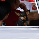 DSC_0069.JPG