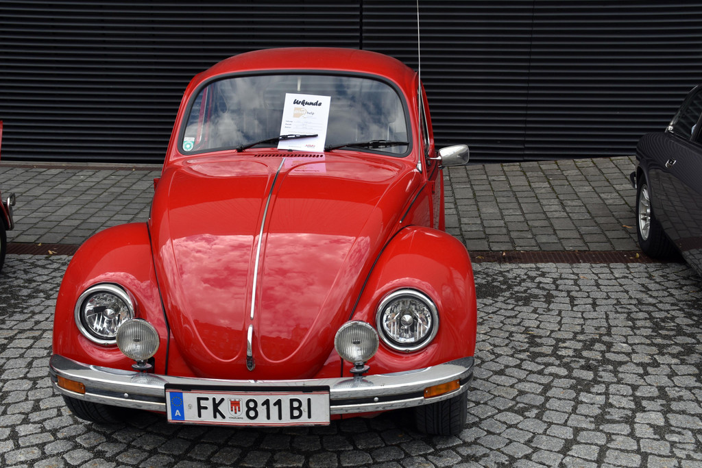 DSC_0075 - Kopie.JPG