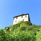 IMG_9709.JPG