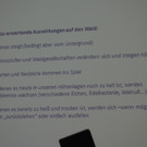 P7048242.JPG