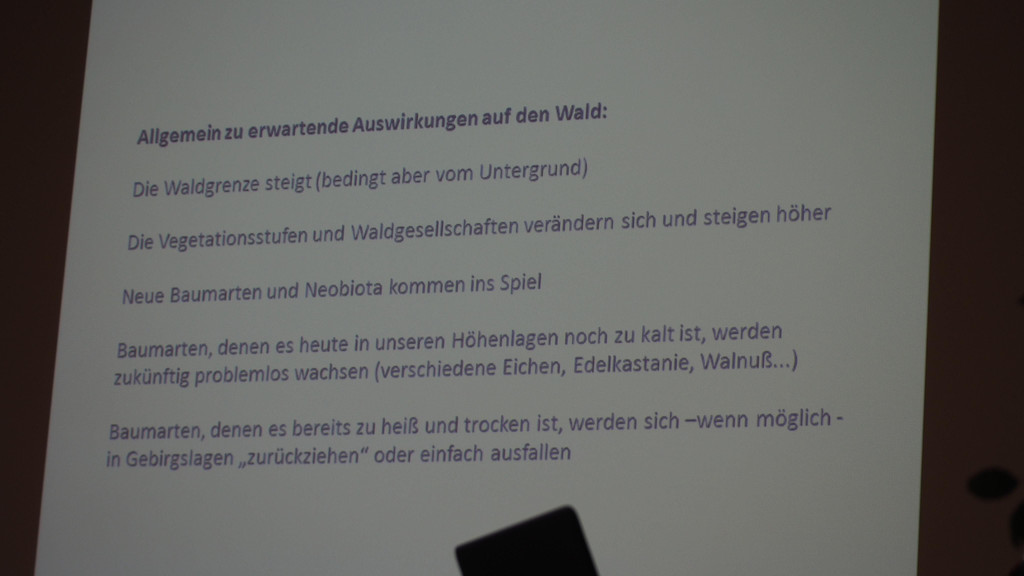 P7048242.JPG
