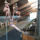 Pole Dance im Kuhstall