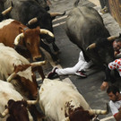 Spain_Running_of_the_Bulls_03112.jpg