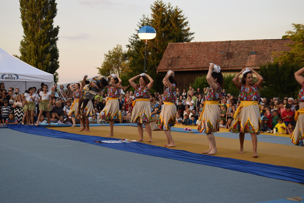 DSC_0072 - Kopie.JPG