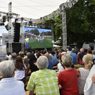 Public Viewing.JPG