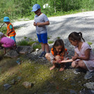 P1160739.JPG