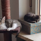20190712_091314.jpg