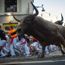 Stierhatz in Pamplona 2019