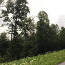 IMG_1884.JPG