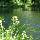 P1010080.JPG