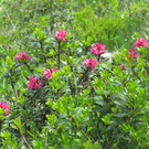 IMG_2358.JPG