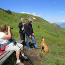 IMG_2378.JPG
