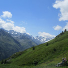 IMG_2382.JPG