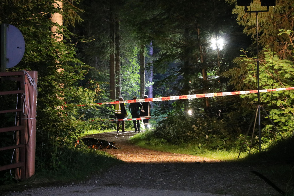 Balderschwang I.jpg