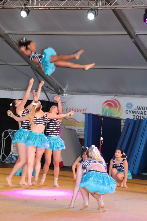 Gymnaestrada 3.jpg