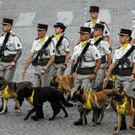 France_Bastille_Day_15867.jpg