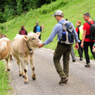 Alpexkursion 2019
