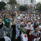 Algerische Fans feiern Finaleinzug