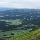 IMG_6369.jpg