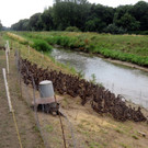 VGT rettet Enten vor dem sicheren Tod