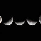 Bilder der partiellen Mondfinsternis