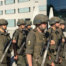 heer2.jpg