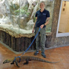 Komodowaran3-GuentherHulla.jpg