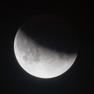 AFP_1IU78W.jpg
