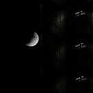 AFP_1IU718.jpg