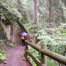 41 Holzgau nach Bach.jpg