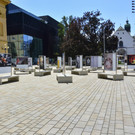 DSC_0110.jpg
