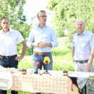 Zukunft der Bienen in Vorarlberg: Kräfte bündeln für eine Lebensgrundlage