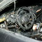 Br_A14 G__tzis PKW49.JPG