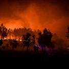 AFP_1J00BU.jpg