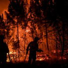 AFP_1J00BT.jpg