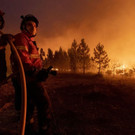 Portugal_Wildfires_75901.jpg
