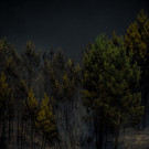 AFP_1J00BY.jpg
