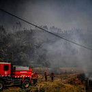 AFP_1J002Y.jpg