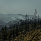 AFP_1IZ4F1.jpg