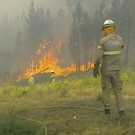 Portugal_Wildfires_22908.jpg