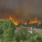 Portugal_Wildfires_22973.jpg