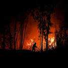 AFP_1IZ1A5.jpg