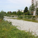 IMG_8234.JPG