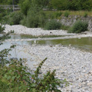 IMG_8236.JPG