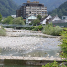 IMG_8240.JPG