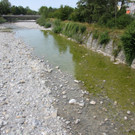 IMG_8242.JPG