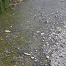 IMG_8244.JPG