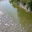 IMG_8249.JPG