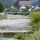 IMG_8254.JPG