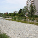 IMG_8255.JPG